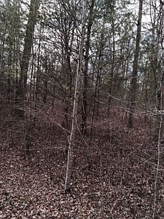 1st image of Red Fox Trail #Lt 5