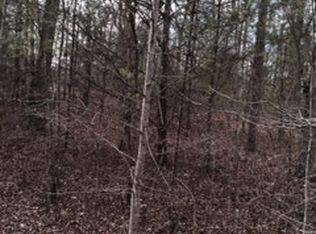 Red Fox Trail #LT 5, Blairsville, GA 30512