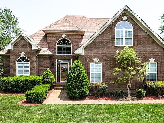 Tree has grown a little