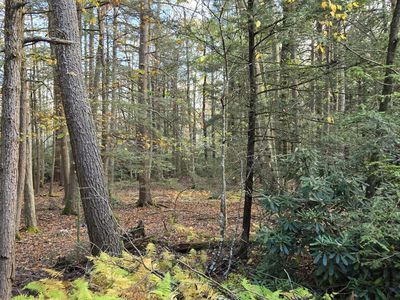 C830 & C83 Lakeside Dr, Albrightsville, PA, 18210