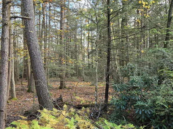 C830 & C83 Lakeside Dr, Albrightsville, PA 18210