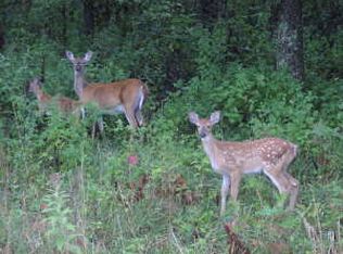 3360 Pinnacle Mountain Rd, Western Grove, AR 72685