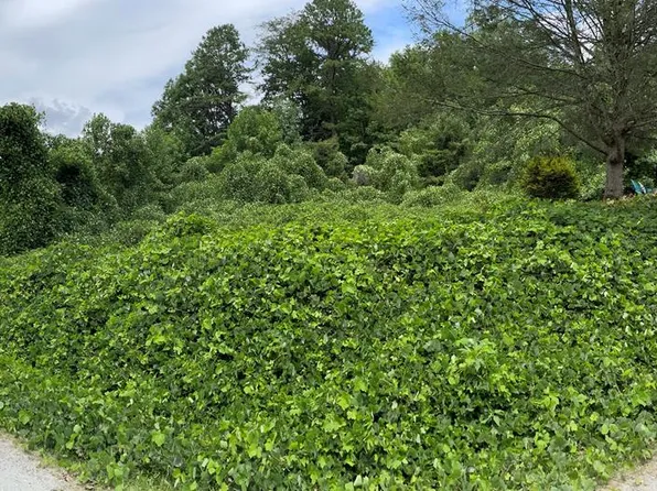 0 Shook Rd, Bryson City, NC 28713