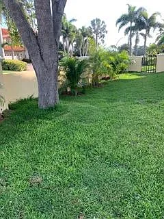 Side Yard