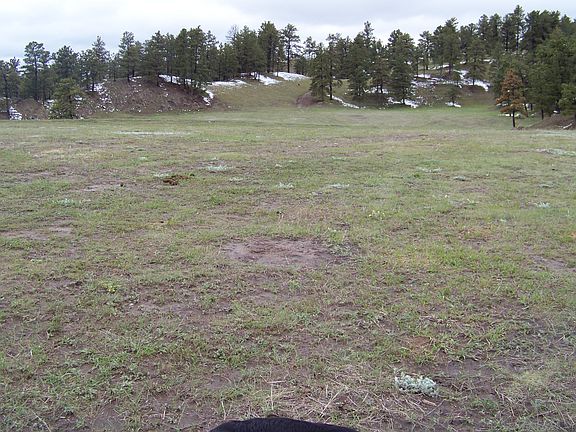 3rd image of 12914 Highway 2 #71