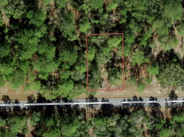 705 W Hummingbird Dr, Citrus Springs, FL 34434