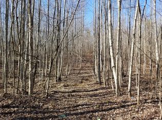 4872 Palmer Firetower Rd, Palmer, TN 37365