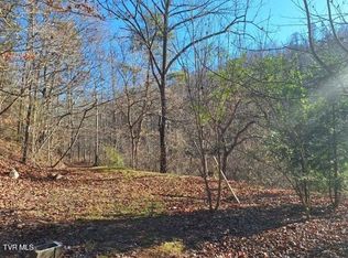 289A Early Branch Rd, Rogersville, TN 37857