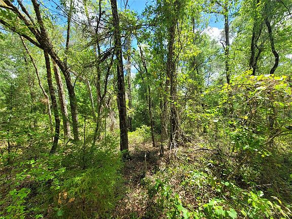 2nd image of 910 FERNCREEK AVENUE LOT 0140