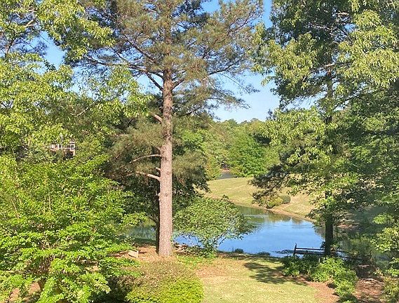 3rd image of 154 Tall Pine Dr