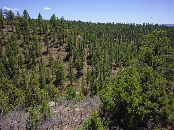 11 TBD Road 37.1, Mancos, CO 81328