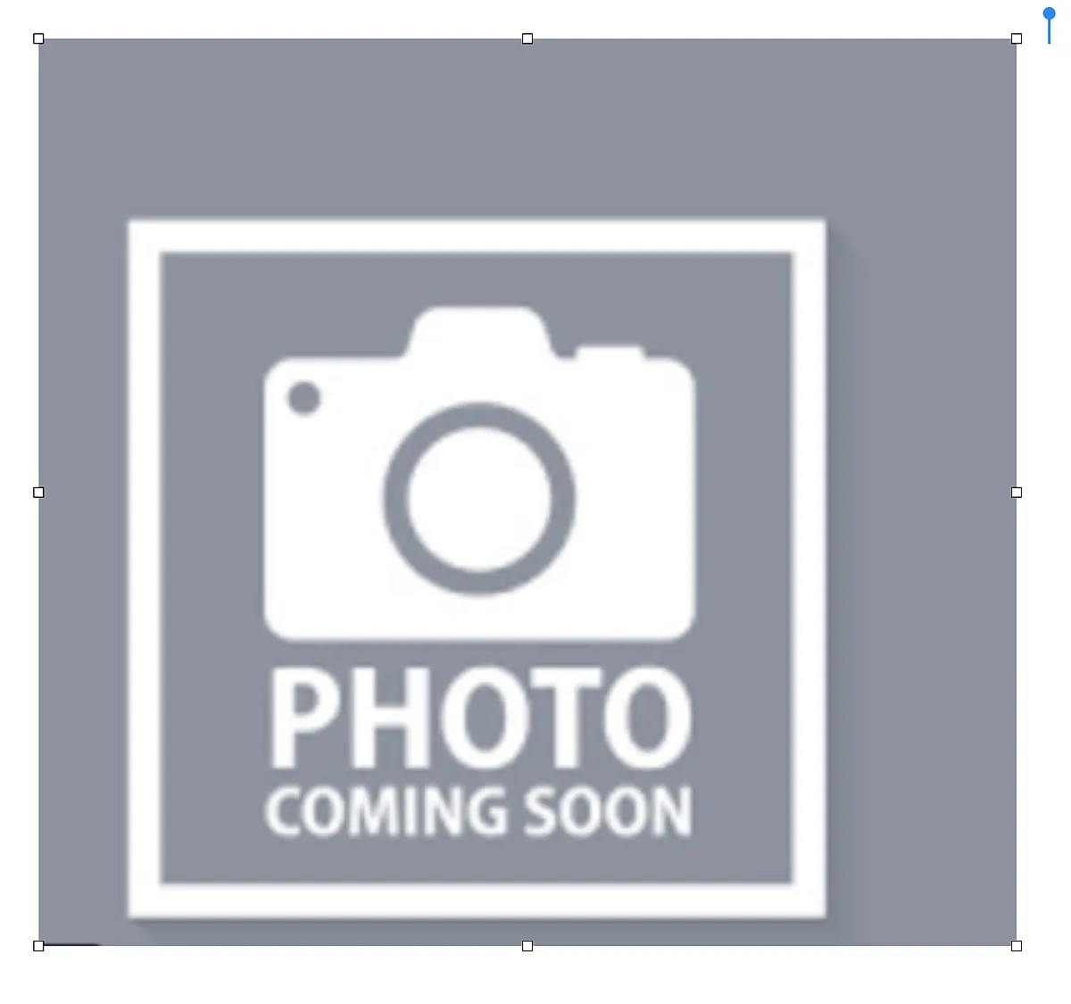 Building Photo - 412 Phlox Ct