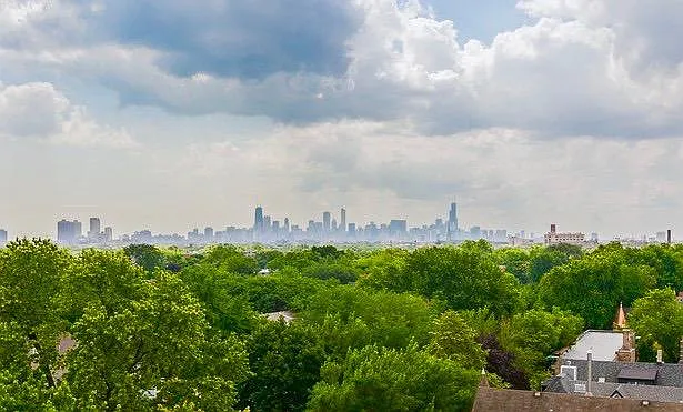 1733 W Irving Park Rd — Photo 13