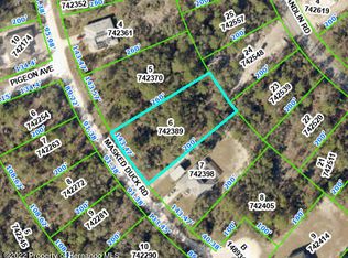 LOT 6 Masked Duck Rd, Brooksville, FL 34614