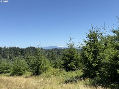 0 NE 277th Ave, Washougal, WA, 98671