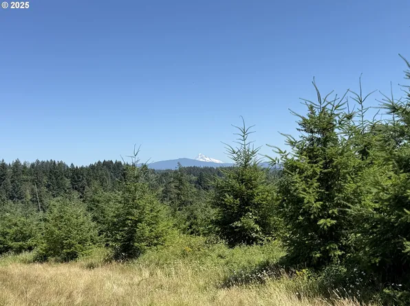 0 NE 277th Ave, Washougal, WA 98671