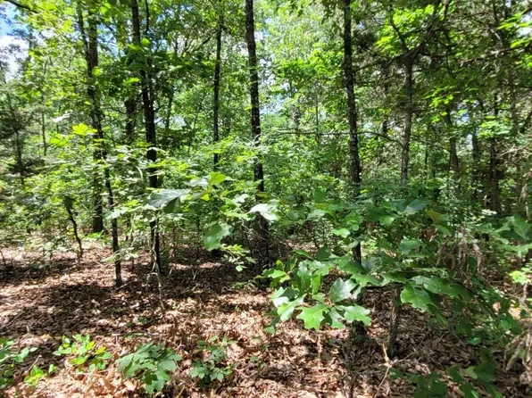 Duncan Ln, Poughkeepsie, AR 72569