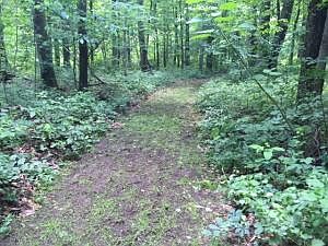 2nd image of Sweitzer Road