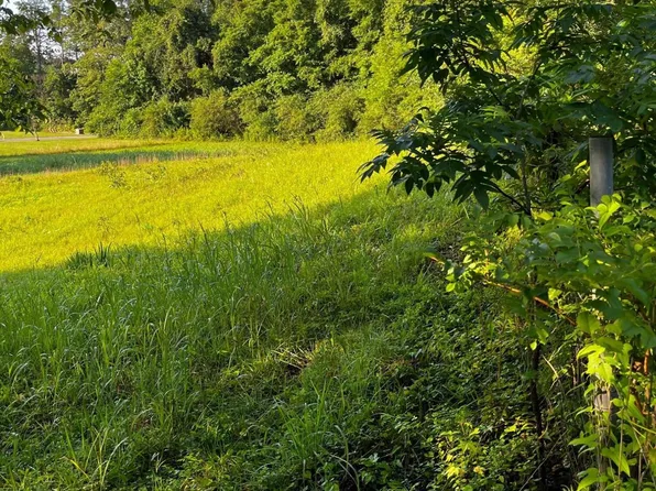 0 Webb Cemetery Rd, Evensville, TN 37332