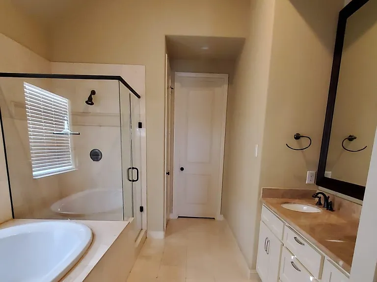 Master bath with Jacuzzi