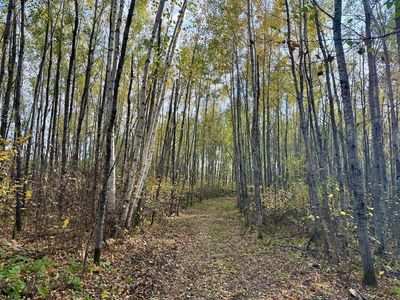 48XYZ Deerfield Rd, Sturgeon Lake, MN, 55783