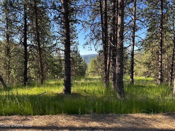 Nka Baby Cougar Ln Lot 2, Coeur D Alene, ID 83815