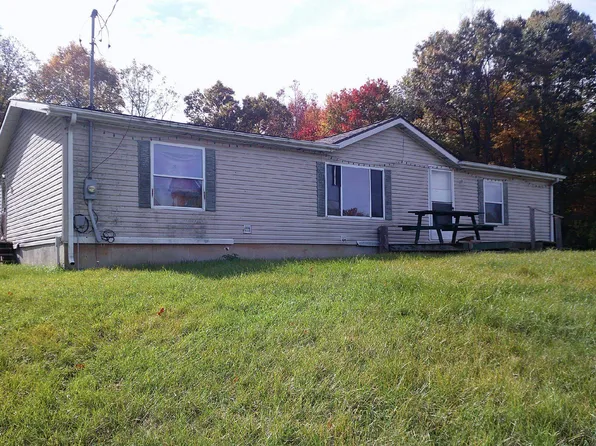 9560 S Byam Rd, Bancroft, MI 48414