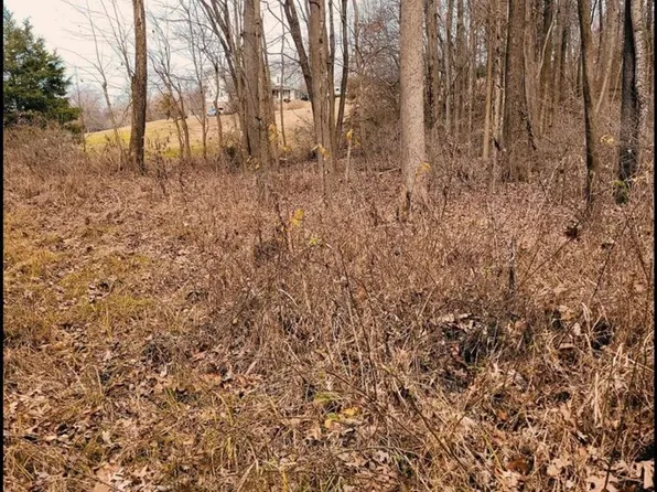 0 Dogwood Ct, Morgantown, KY 42261