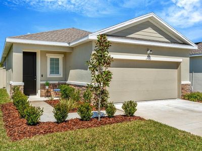 17965 Dairy Farm Ct, Land O Lakes, FL, 34638