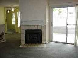 Large living room with fireplace