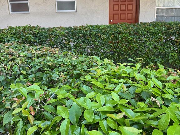 3rd image of 3774 Inverrary Boulevard #106p