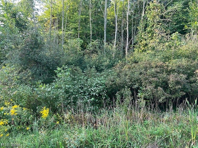 2nd image of Spencer Lake Rd