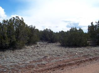 2263 Lassen St, Show Low, AZ 85901