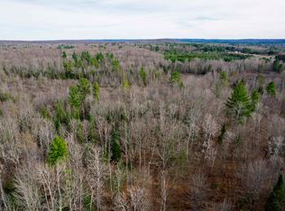 11711 Henschell Rd SW, Fife Lake, MI 49633