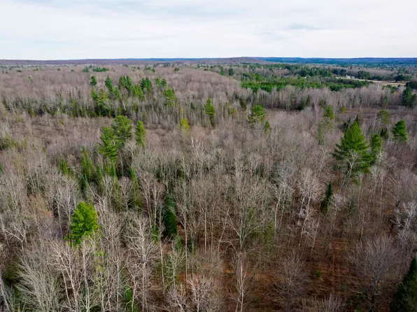 11711 Henschell Rd SW, Fife Lake, MI 49633