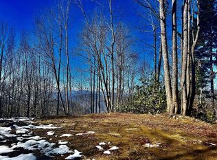 59 Plott Balsam Rd LOT 59, Maggie Valley, NC 28751