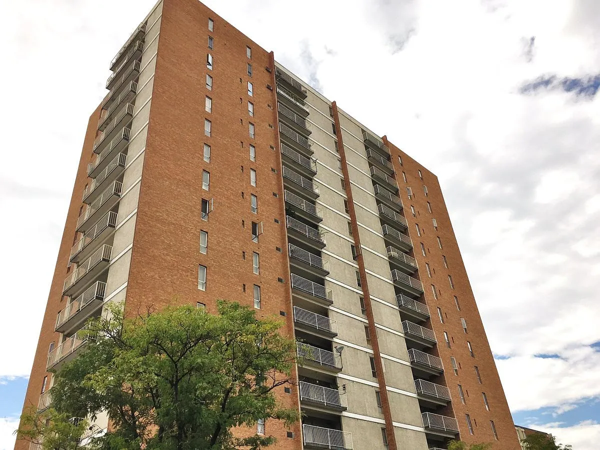 2 bed, 1167 sqft, $1,800 — Photo 2