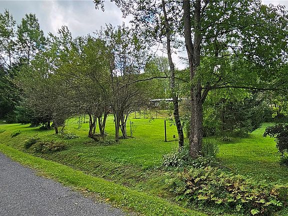 2nd image of 203 Finnerty Rd