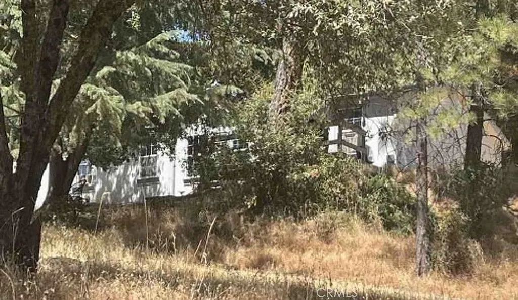 22111 Elizabeth Ln photo 1