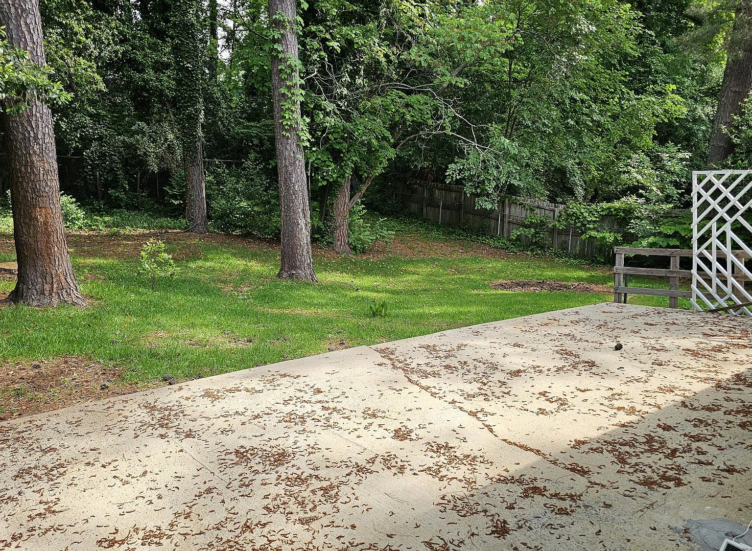1100 Willivee Drive - 1 — Photo 4
