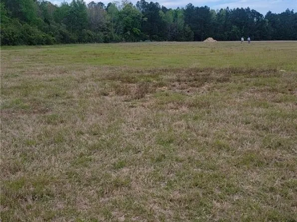 481 & 523 NE S T Morris Road, Ludowici, GA 31316