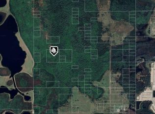 0 Fdc Grove Rd #1, Davenport, FL 33837