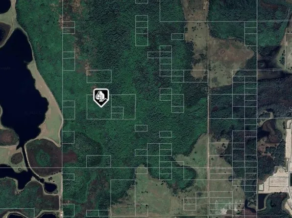 0 Fdc Grove Rd #1, Davenport, FL 33837