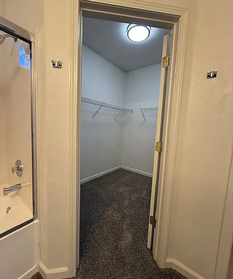 Master walk-in closet