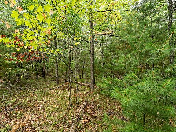 5th image of 001 Birch Lake Road