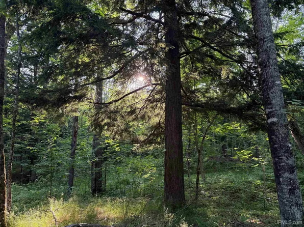 Tbd99 Moyer Rd, Baraga, MI 49908