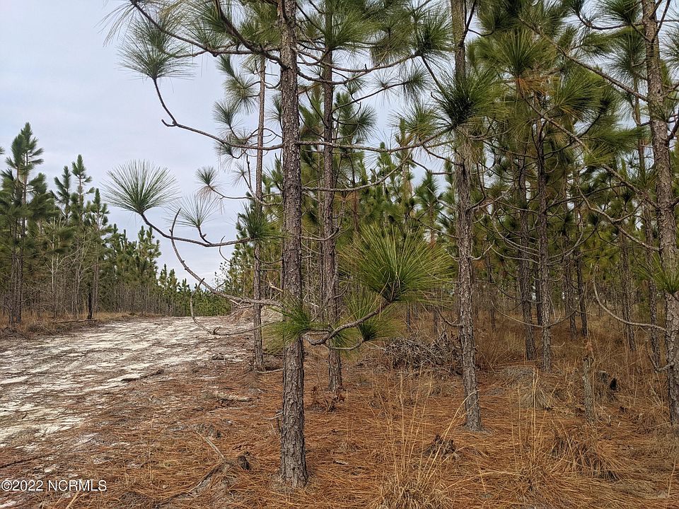 2nd image of Lot 1 Mclauchlin Road LOT 1