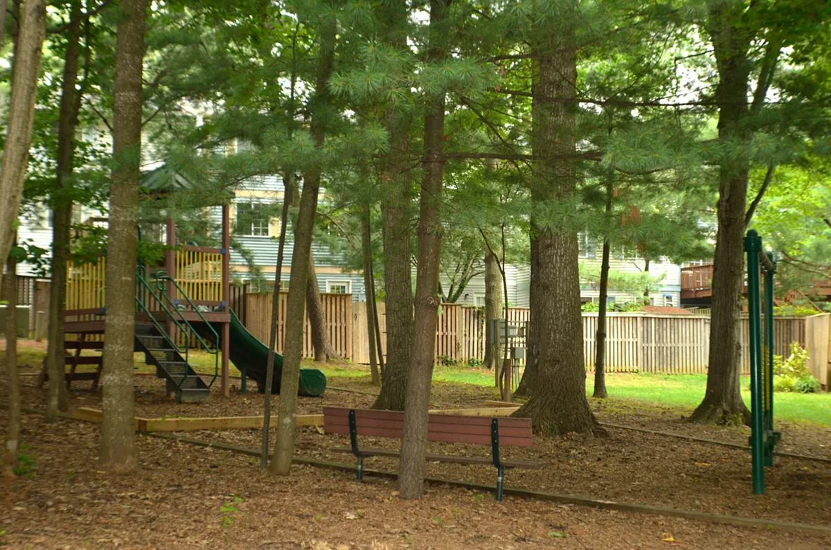 3 bed, 2.5 bath, 1220 sqft, $2,800 — Photo 4