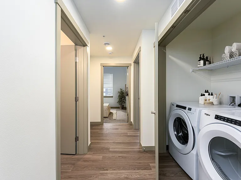 Laundry Laundry