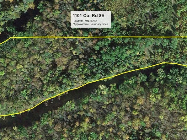 1101 County Road 89, Baudette, MN 56623